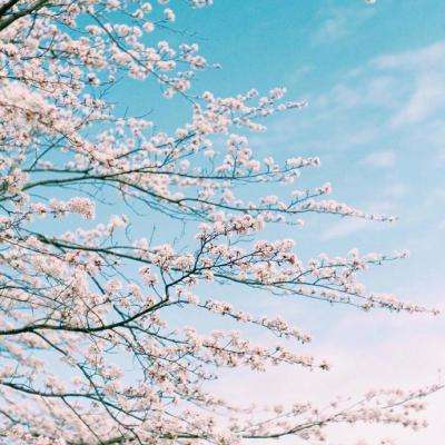 炼爱手游免费下载